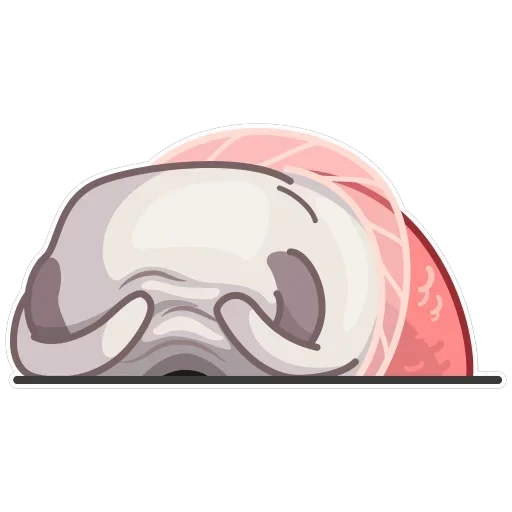 Water Pug — 13