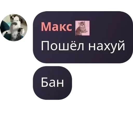 Я гвен, так и живу. — 23