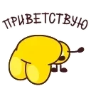 Зайчелло 👉 @ok_sticker_bot — 8
