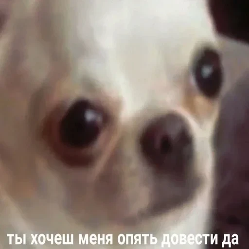 Жизень 🙀 — 2