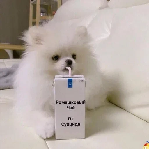 Жизень 🙀 — 12