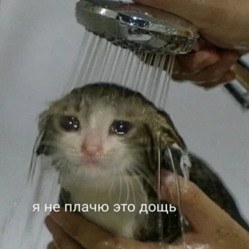 Жизень 🙀 — 13