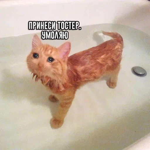 Жизень 🙀 — 14