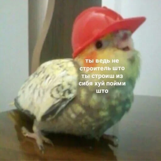 Жизень 🙀 — 15