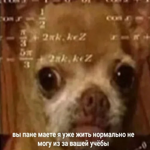 Жизень 🙀 — 17