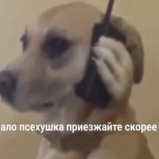 Жизень 🙀 — 18