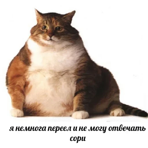 Жизень 🙀 — 20