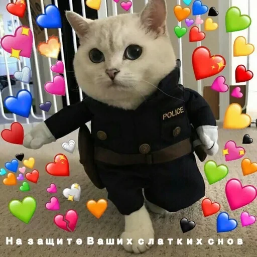 Жизень 🙀 — 3