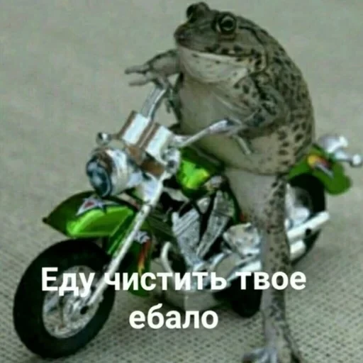 Жизень 🙀 — 21