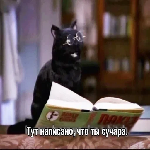 Жизень 🙀 — 22