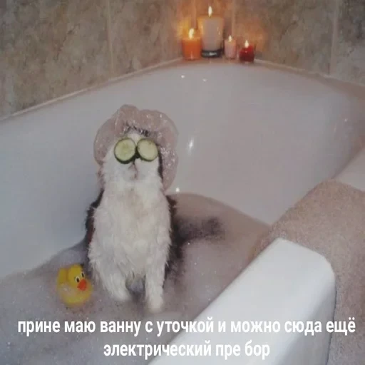 Жизень 🙀 — 23