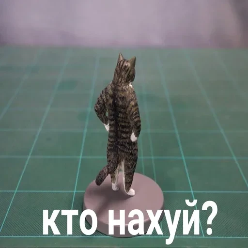 Жизень 🙀 — 24
