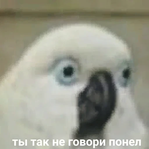 Жизень 🙀 — 28