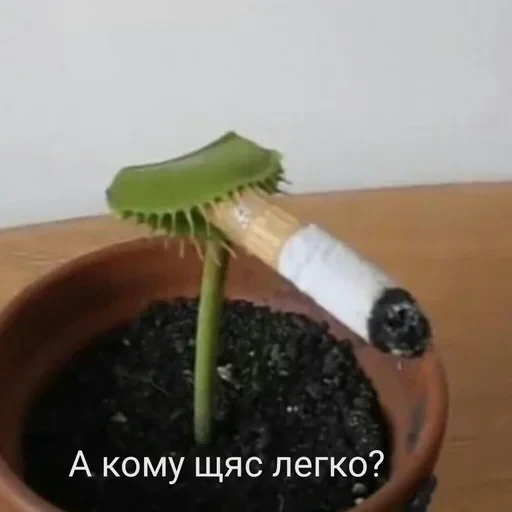 Жизень 🙀 — 29