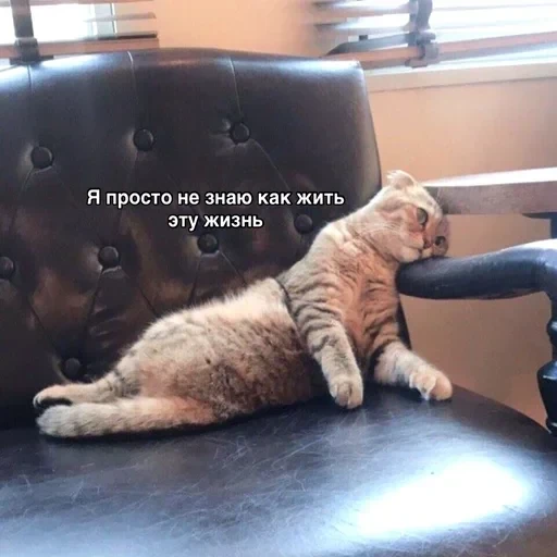 Жизень 🙀 — 30