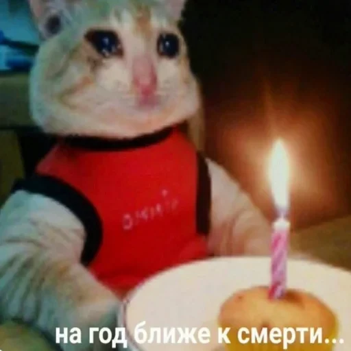 Жизень 🙀 — 31