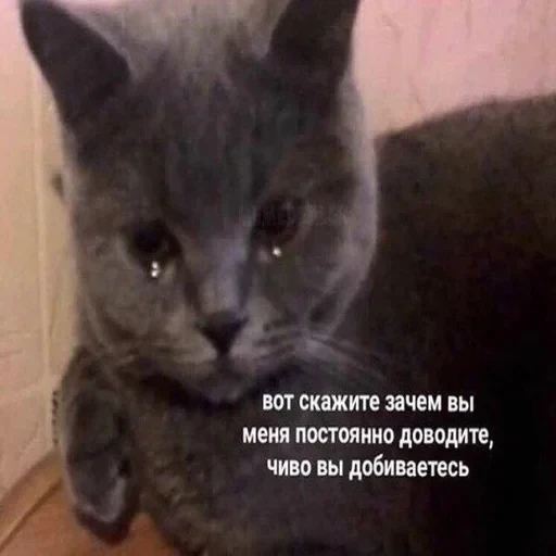 Жизень 🙀 — 32