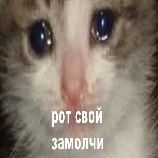 Жизень 🙀 — 33