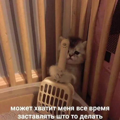 Жизень 🙀 — 34