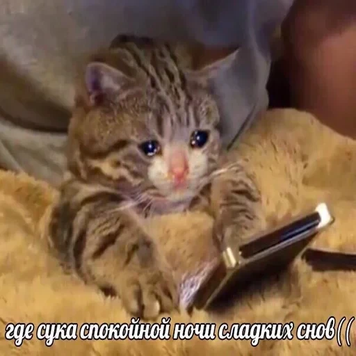 Жизень 🙀 — 37