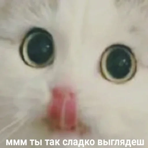 Жизень 🙀 — 38