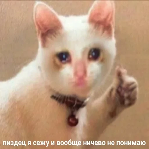 Жизень 🙀 — 39