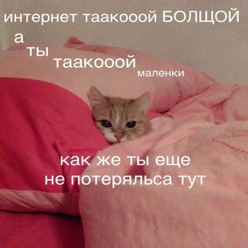 Жизень 🙀 — 41