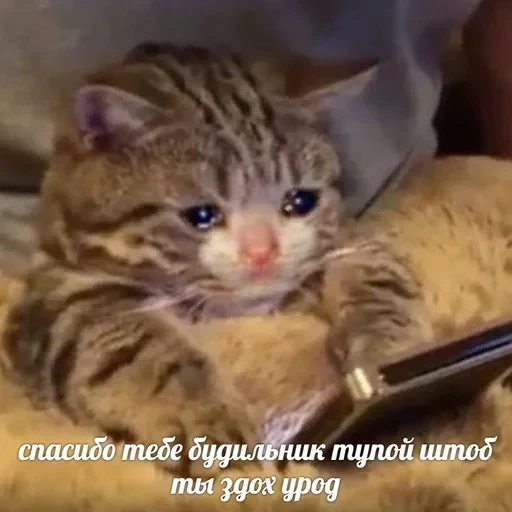 Жизень 🙀 — 42