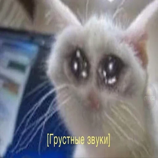 Жизень 🙀 — 43