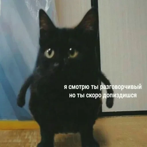 Жизень 🙀 — 44