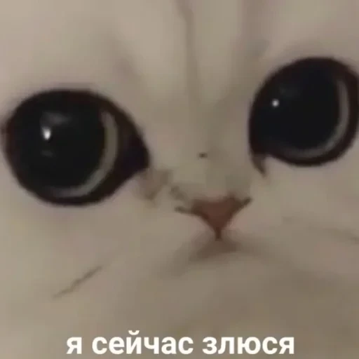 Жизень 🙀 — 45