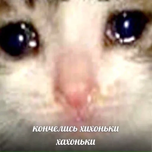 Жизень 🙀 — 46