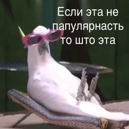 Жизень 🙀 — 47