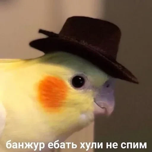 Жизень 🙀 — 48