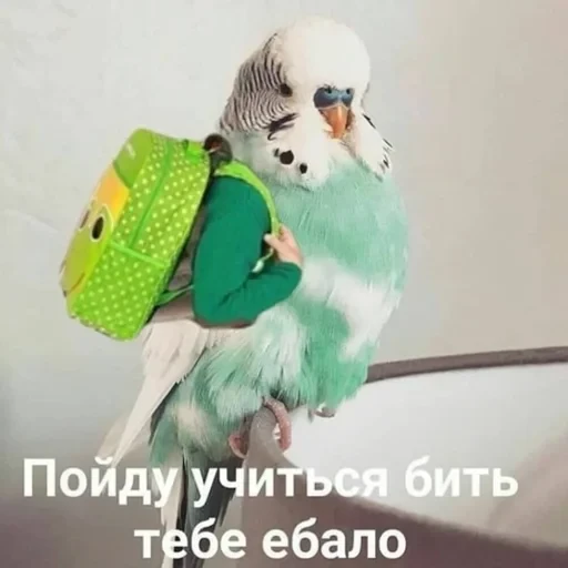 Жизень 🙀 — 49