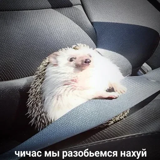 Жизень 🙀 — 6
