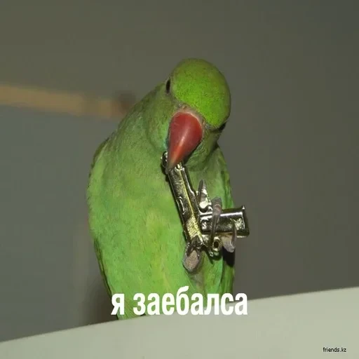 Жизень 🙀 — 51