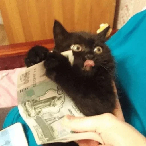 Жизень 🙀 — 52