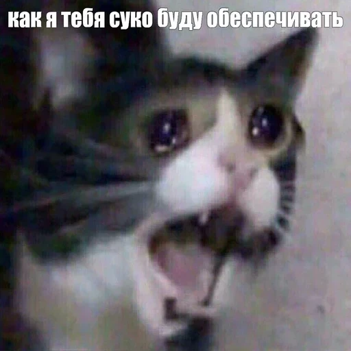 Жизень 🙀 — 55
