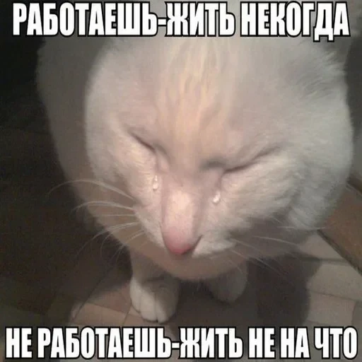 Жизень 🙀 — 56