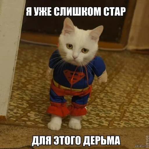 Жизень 🙀 — 57