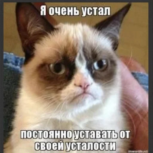 Жизень 🙀 — 58
