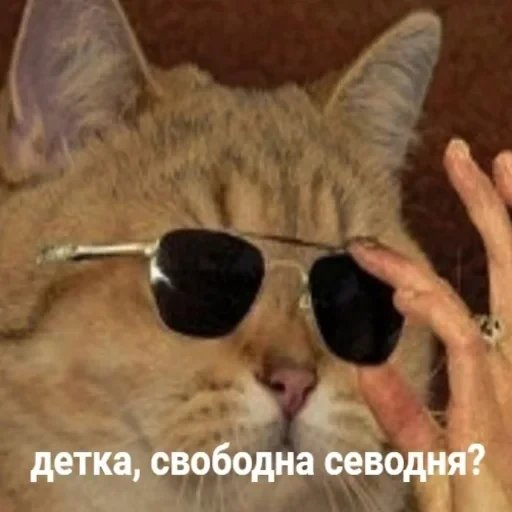 Жизень 🙀 — 60