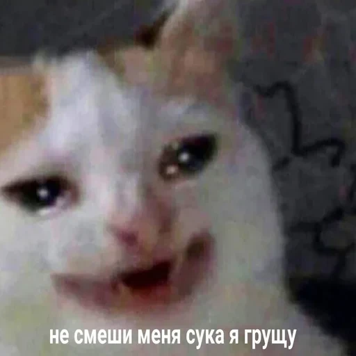 Жизень 🙀 — 7
