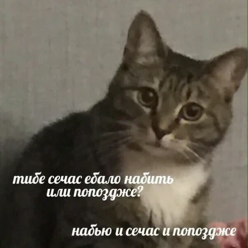 Жизень 🙀 — 8