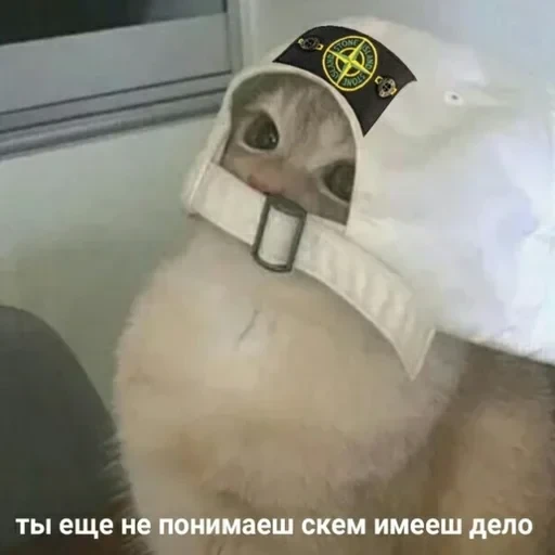 Жизень 🙀 — 9