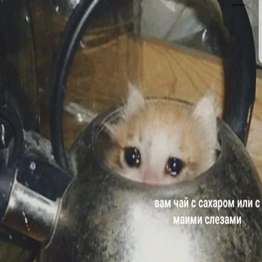Жизень 🙀 — 10