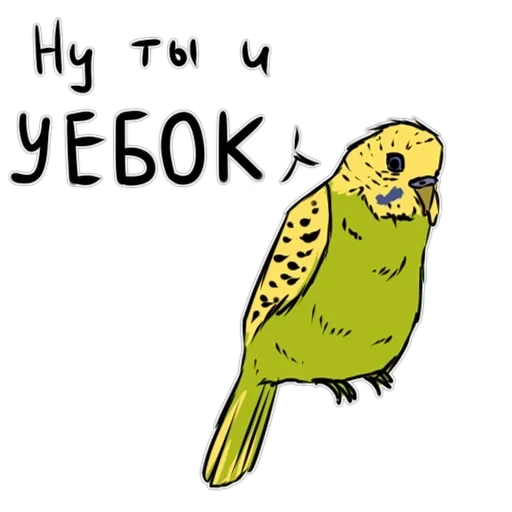 Злі папуги — 2