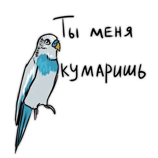 Злі папуги — 12