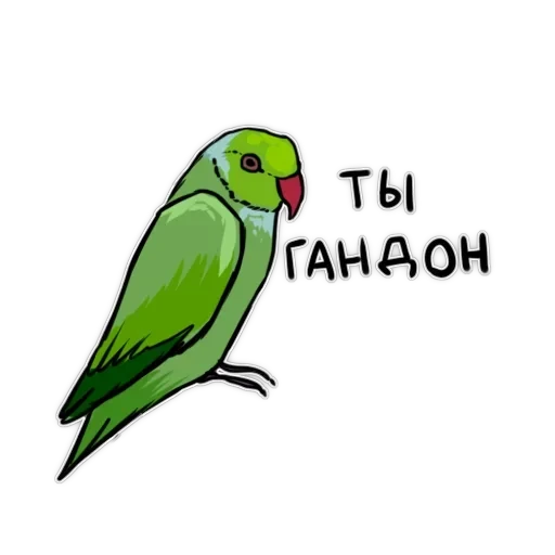 Злі папуги — 13